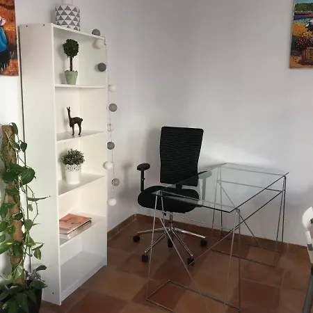 Apartment Im Zentrum *