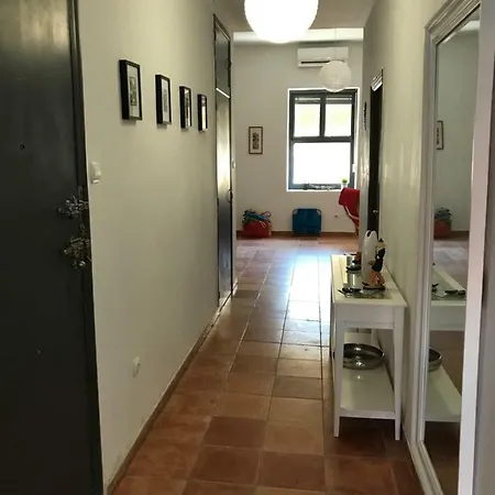 Apartment Im Zentrum